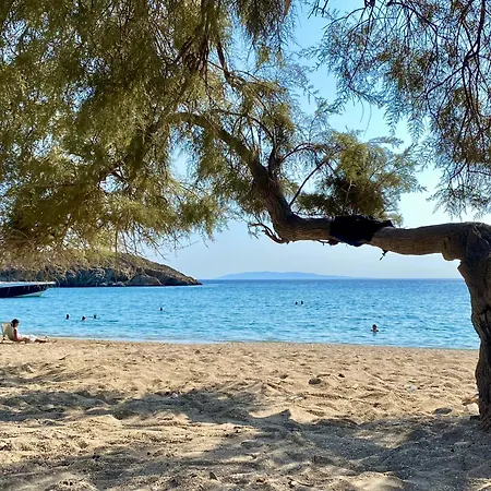 Villa Andros Prive
